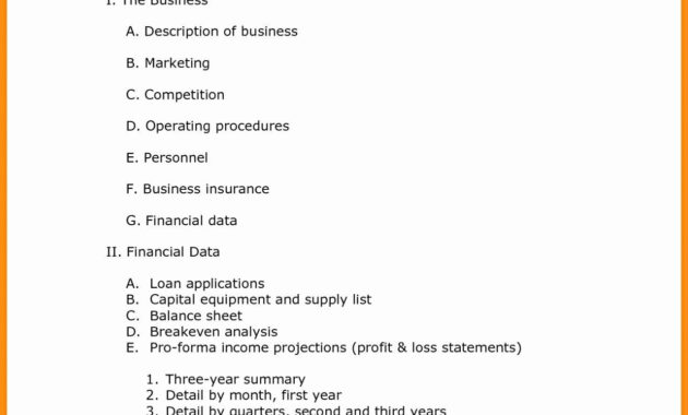 002 Template Ideas Sample Business Plan Unique Free Format with Business Paln Template