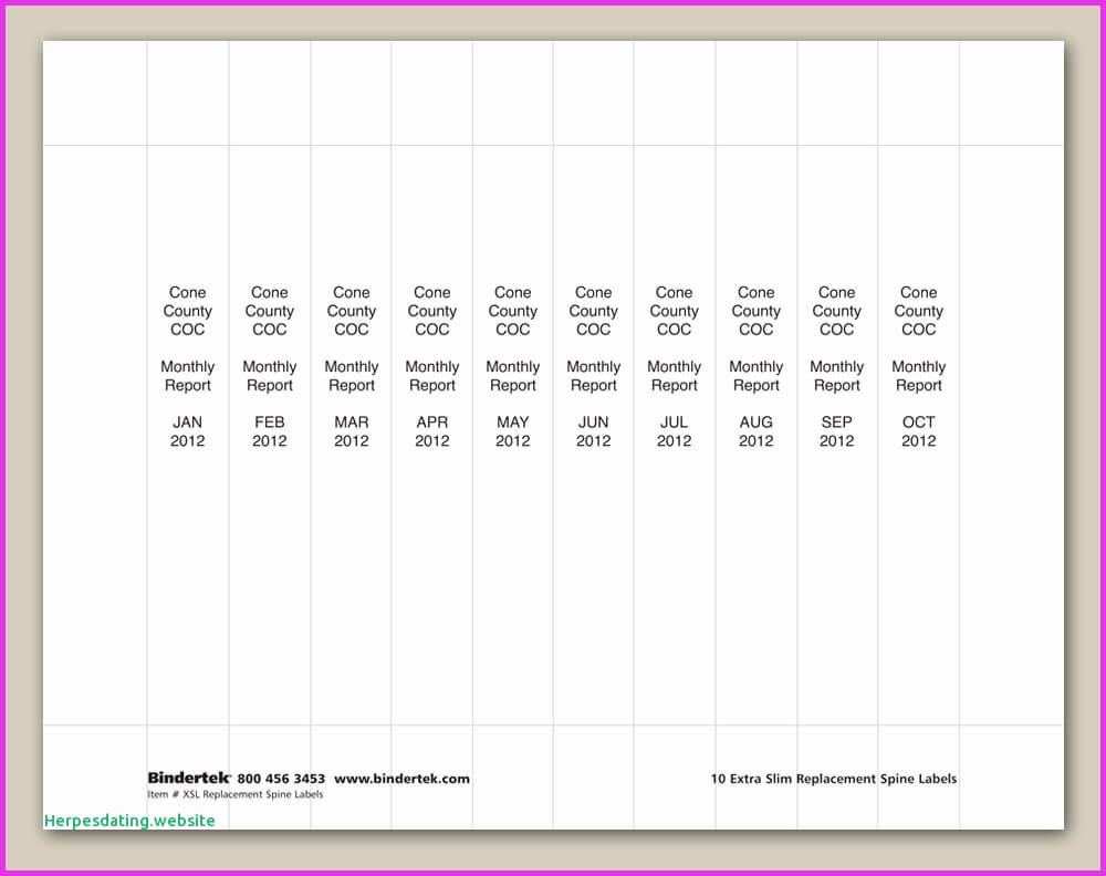 004 Binder Spine Labelmplate Ideas Awesome Inch Best Of Ring Intended For Binder Labels Template