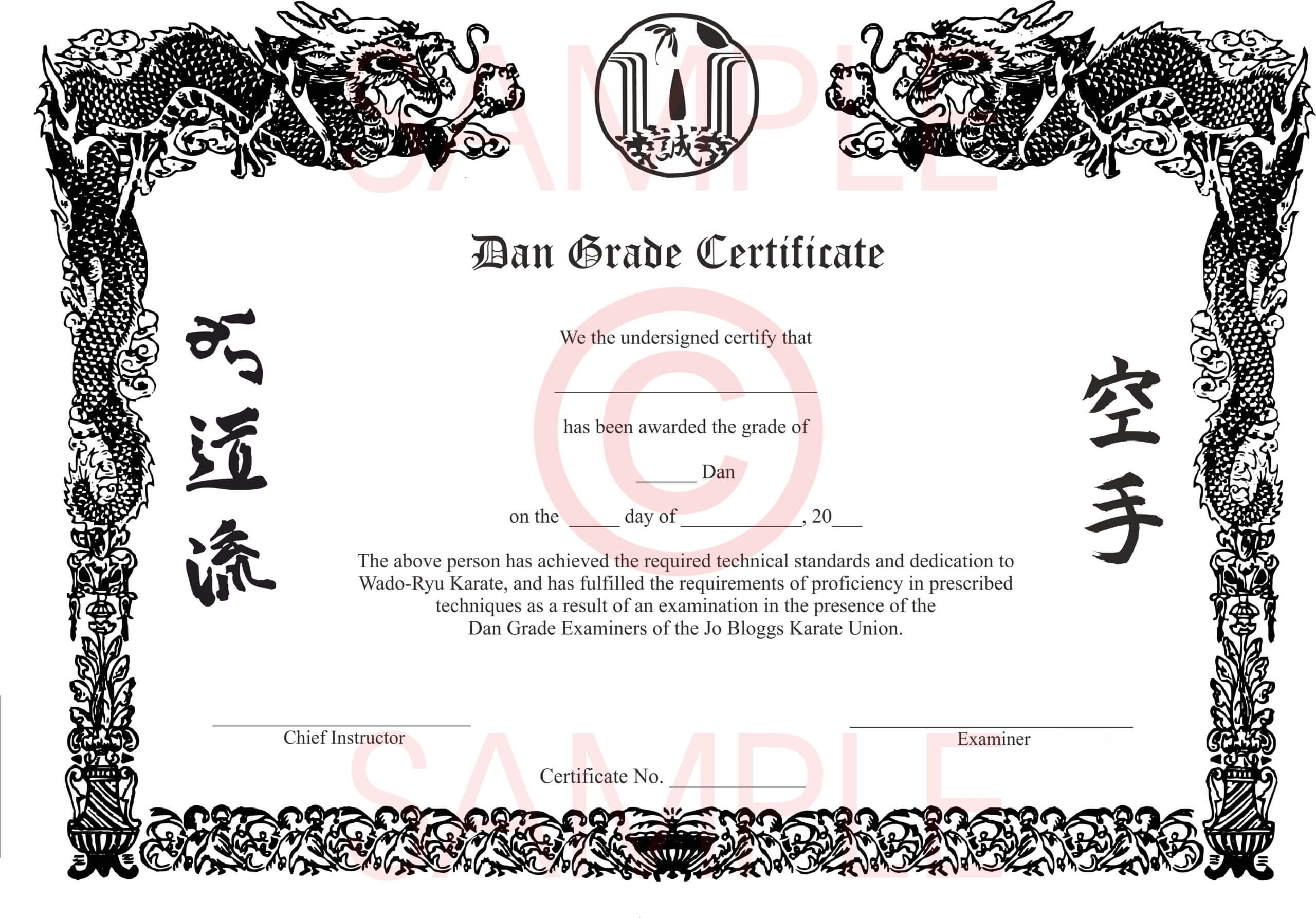 006 Template Ideas Martial Arts Certificate Templates Free In Art Certificate Template Free