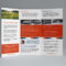007 Tri Fold Brochure Template Free Download Ai In Ai Brochure Templates Free Download