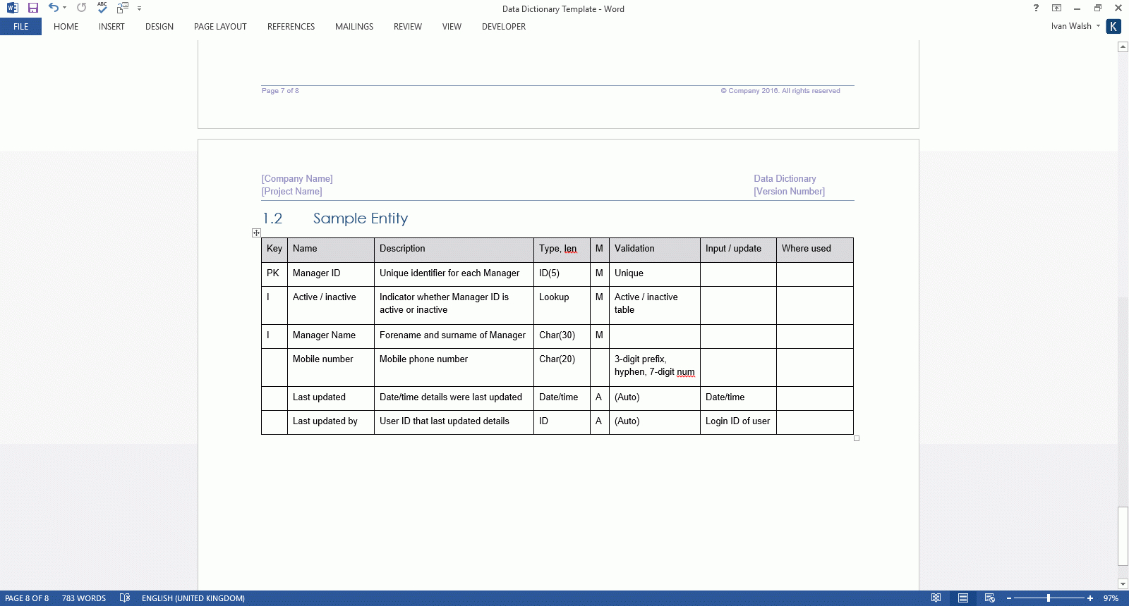 008 Data Dictionary Template Word Ideas Use Imposing Cases With Regard To Business Data Dictionary Template