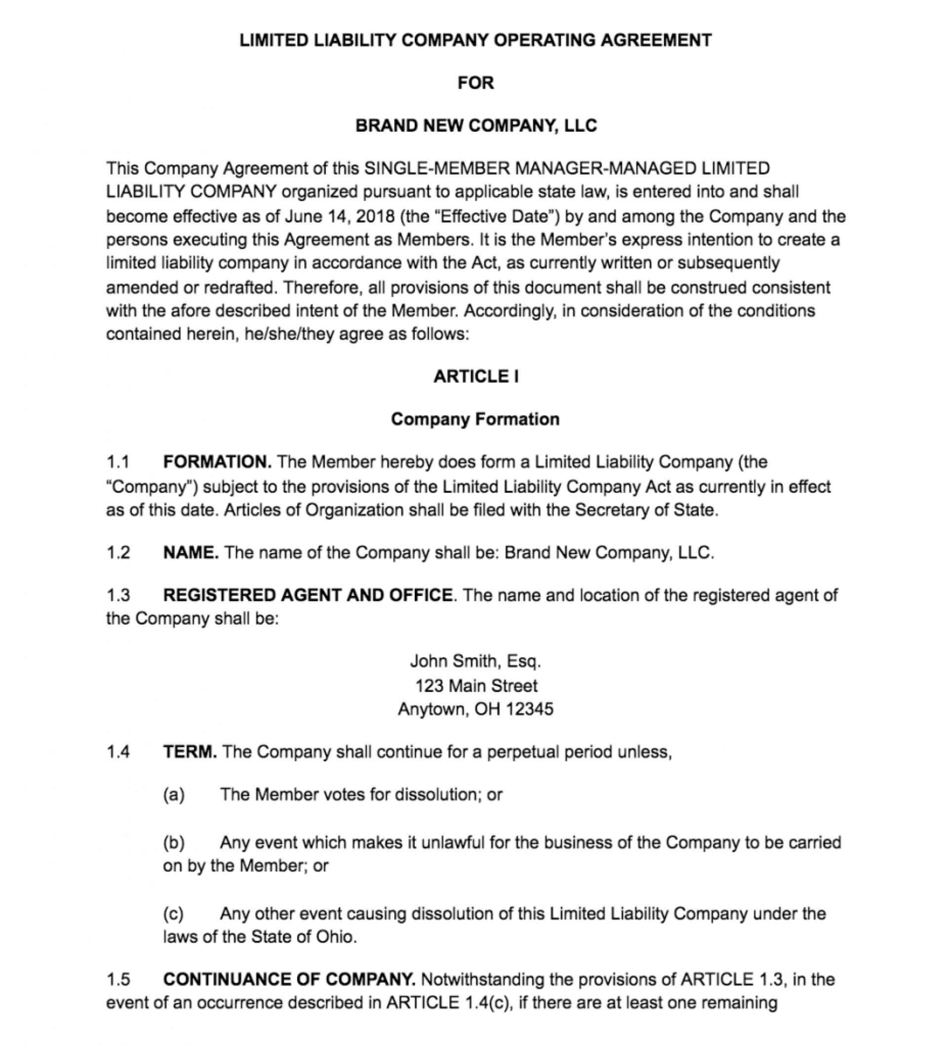 008 Template Ideas Operating Agreement Surprising Llc Single For Articles Of Organization Llc Template