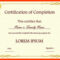 011 Template Ideas Certificate Templates Free ~ Ulyssesroom Throughout Blank Certificate Templates Free Download