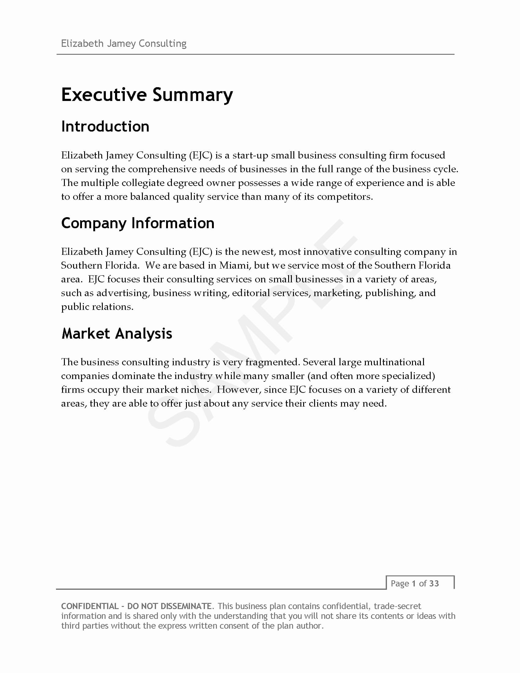013 Consulting Business Plan Template 20Consulting Company For Business Plan Template For Security Company