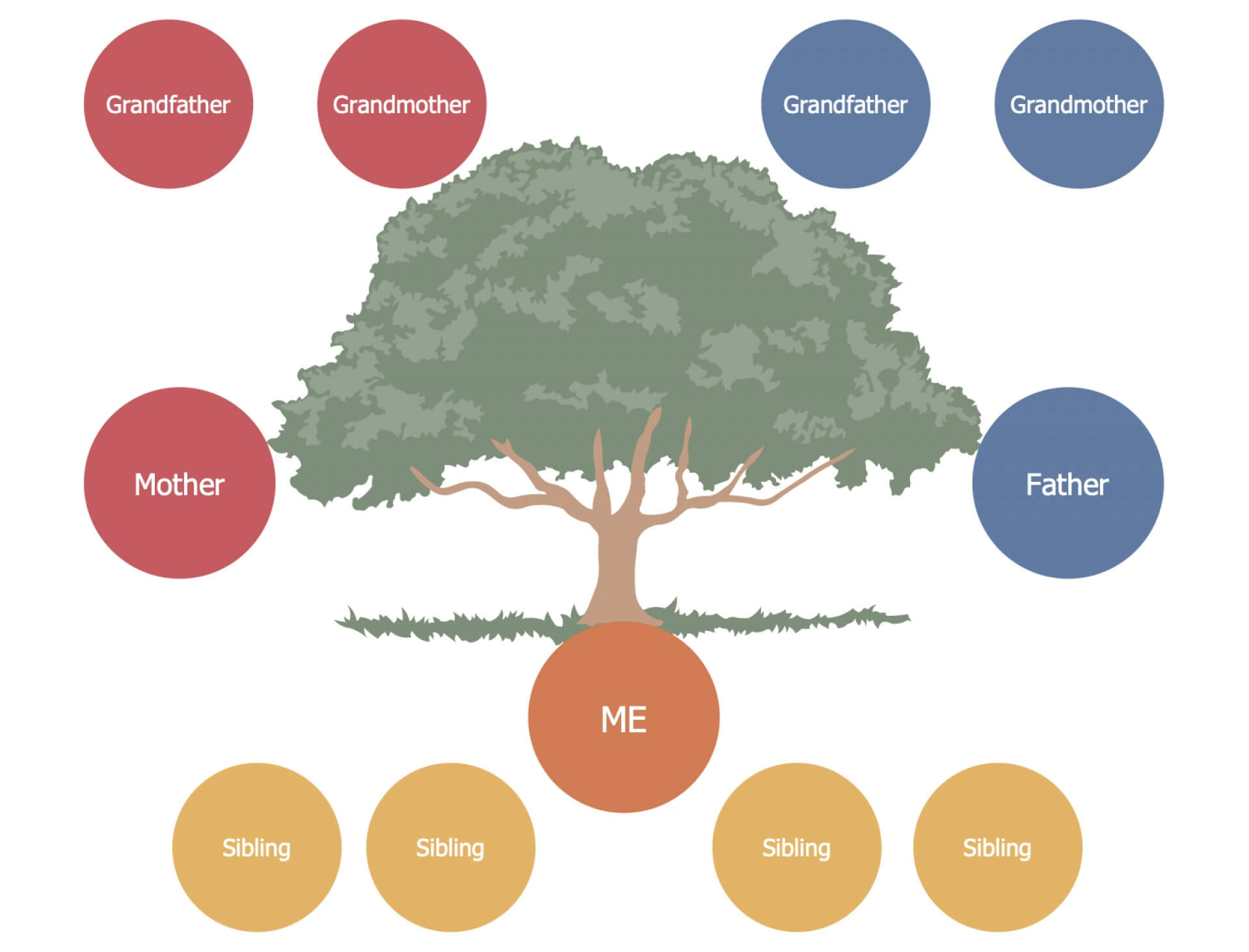 013 Family Tree Drawing Simple Template Breathtaking Ideas With 3 Generation Family Tree Template Word