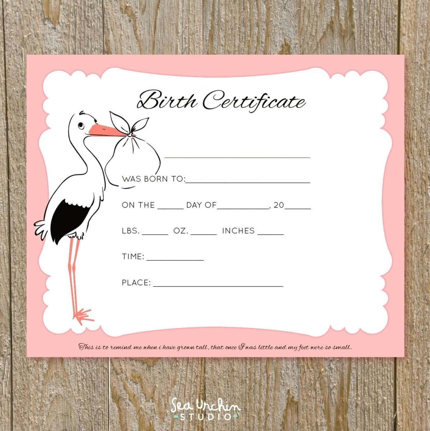 018 Free Birth Certificate Template Translate Mexican Sample Pertaining To Baby Doll Birth Certificate Template