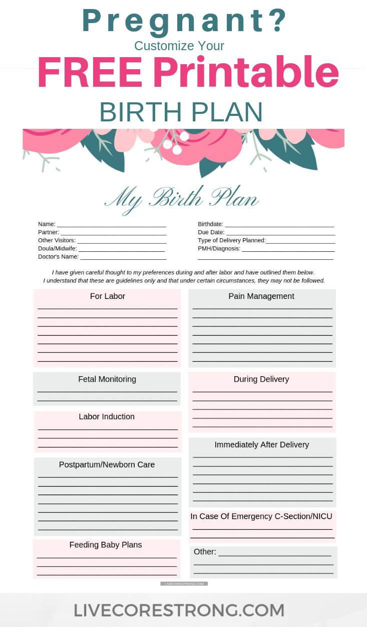 018 Simple Birth Plan Template Fearsome Ideas Free Uk Within Birthing Plan Templates