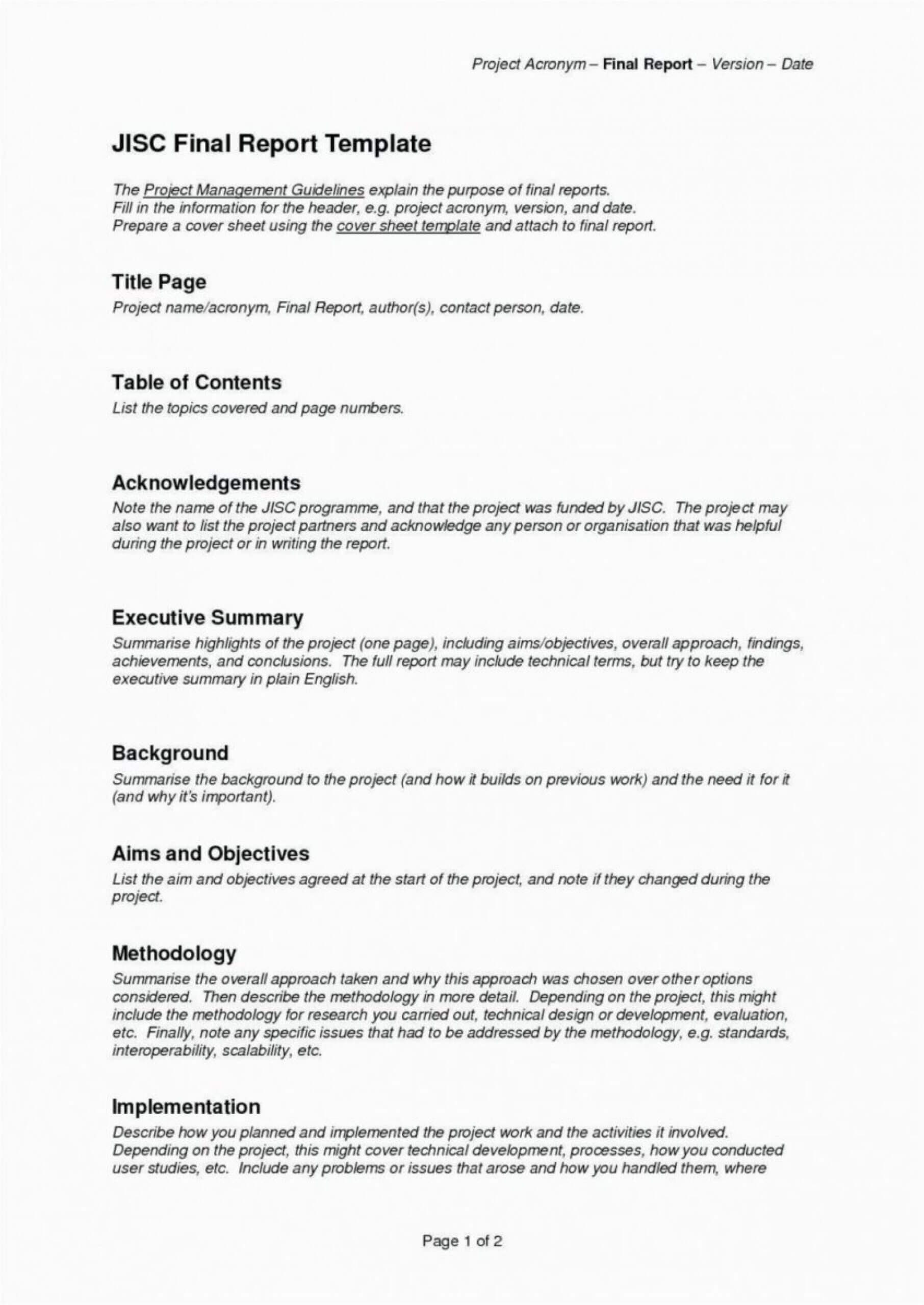 023 Template Ideas Project Executive Summarynagement Example In Business Analyst Report Template