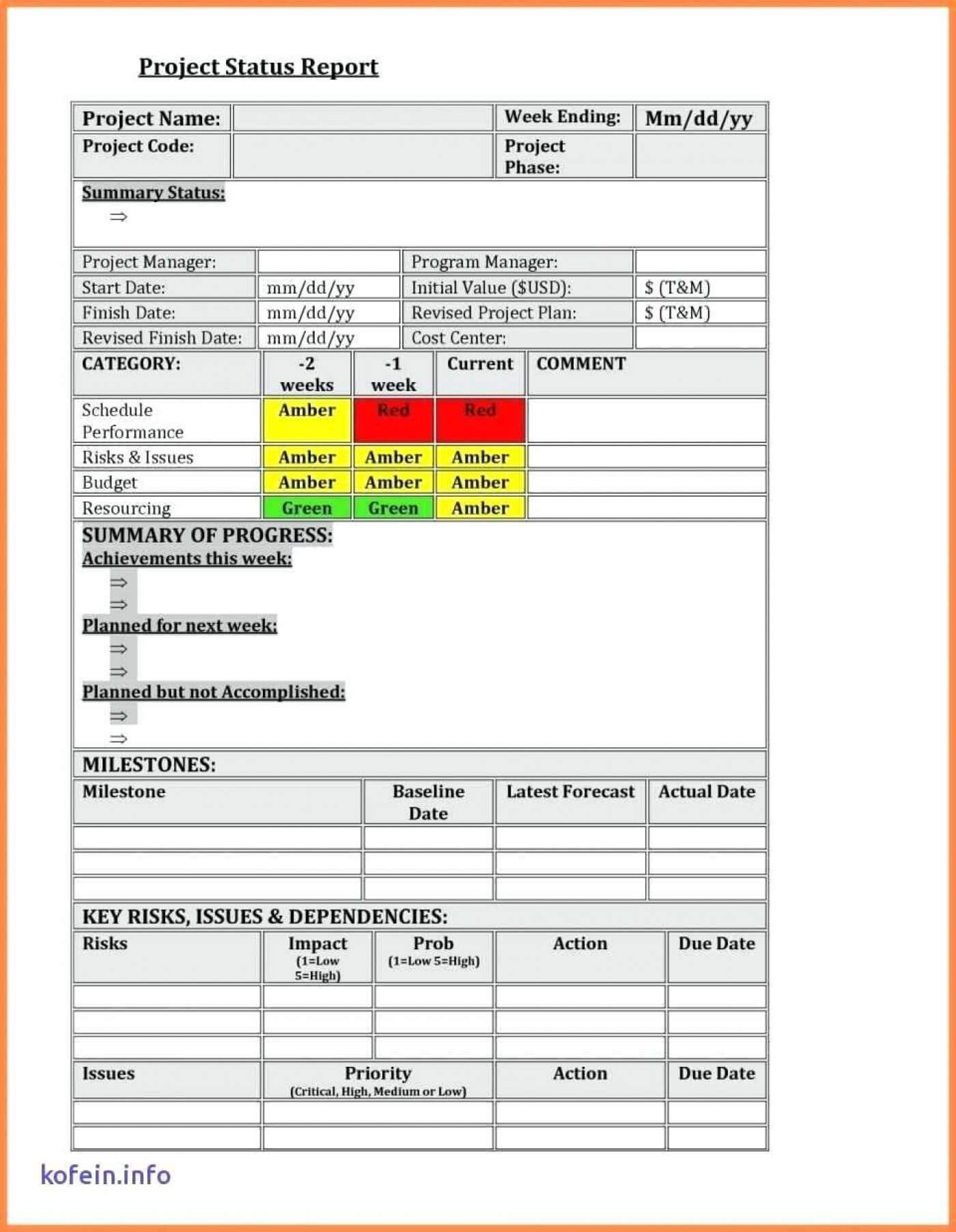 035 Project Status Report Template Excel Format Management In Baseline Report Template