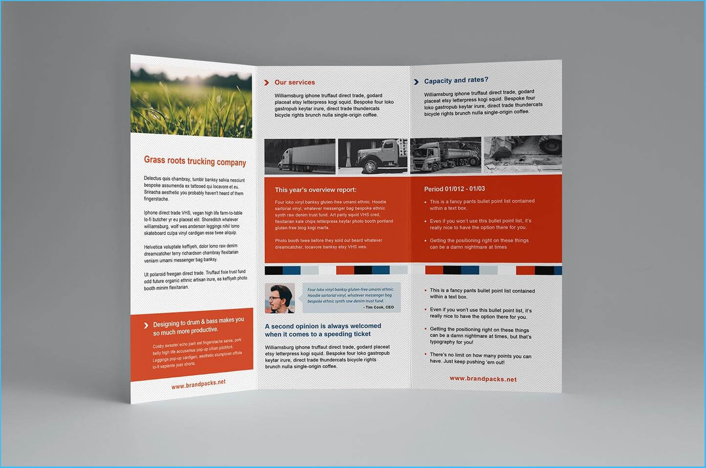 040 Tri Fold Brochure Template Free Download Powerpoint For Architecture Brochure Templates Free Download