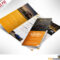 16 Tri Fold Brochure Free Psd Templates: Grab, Edit & Print For 3 Fold Brochure Template Psd Free Download