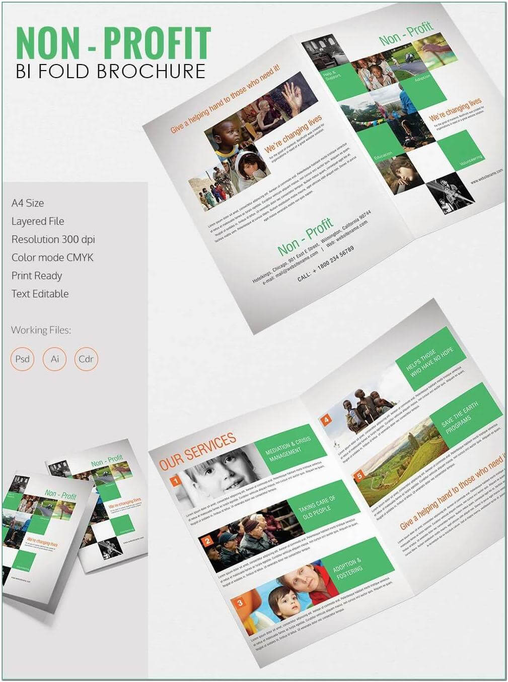 2 Fold Brochure Template Free Download Publisher – Template In Brochure Template Illustrator Free Download