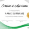 30 Free Certificate Of Appreciation Templates And Letters Intended For Certificate Of Participation Template Ppt