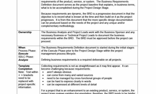 40+ Simple Business Requirements Document Templates ᐅ within Business Requirements Document Template Word