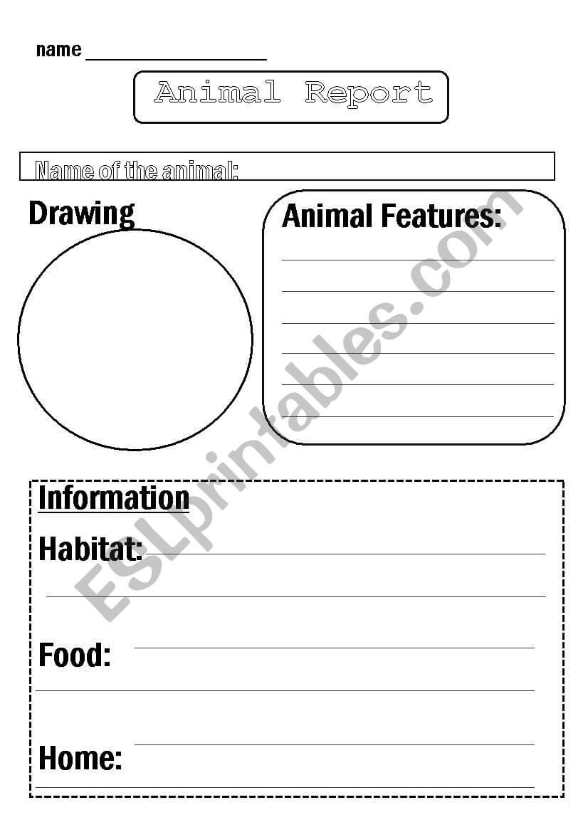 Animal Report Template – Esl Worksheetflora.m123 Within Animal Report Template