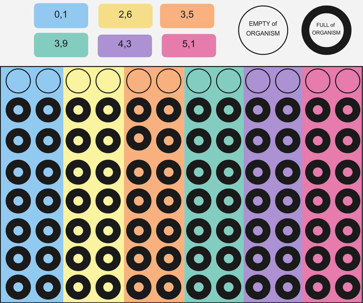 Bacteruino On Twitter: "our 96 Well Plate Template For The inside 96 Well Plate Template Bacteruino On Twitter: "our 96 Well Plate Template For The Inside 96 Well Plate Template