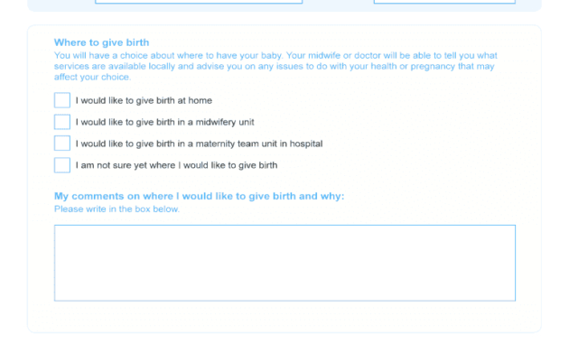 Birthing Plan Uk - Fill Online, Printable, Fillable, Blank in Birthing Plan Templates