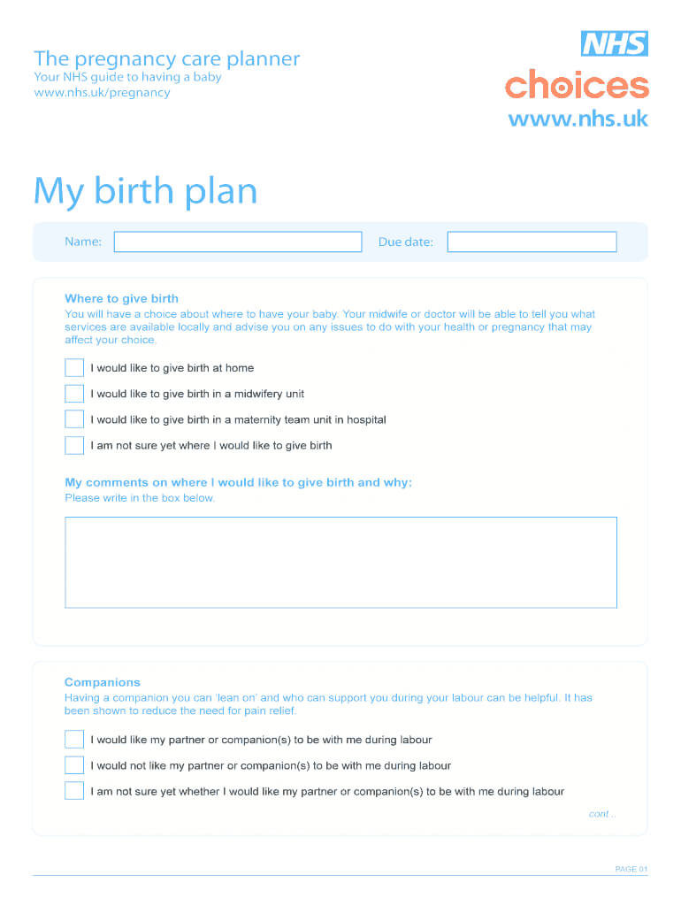 Birthing Plan Uk – Fill Online, Printable, Fillable, Blank In Birthing Plan Templates