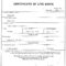 Blank Birth Certificate Form Fresh Birth Certificates 101 For Birth Certificate Fake Template