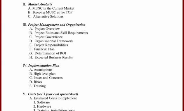 Business Intelligence Project Plan Le Management Examples with regard to Business Intelligence Plan Template