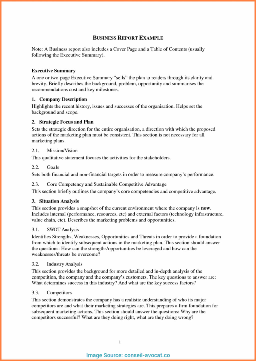 Business Plans Intelligence Project Plan Template Sample Within Business Intelligence Plan Template