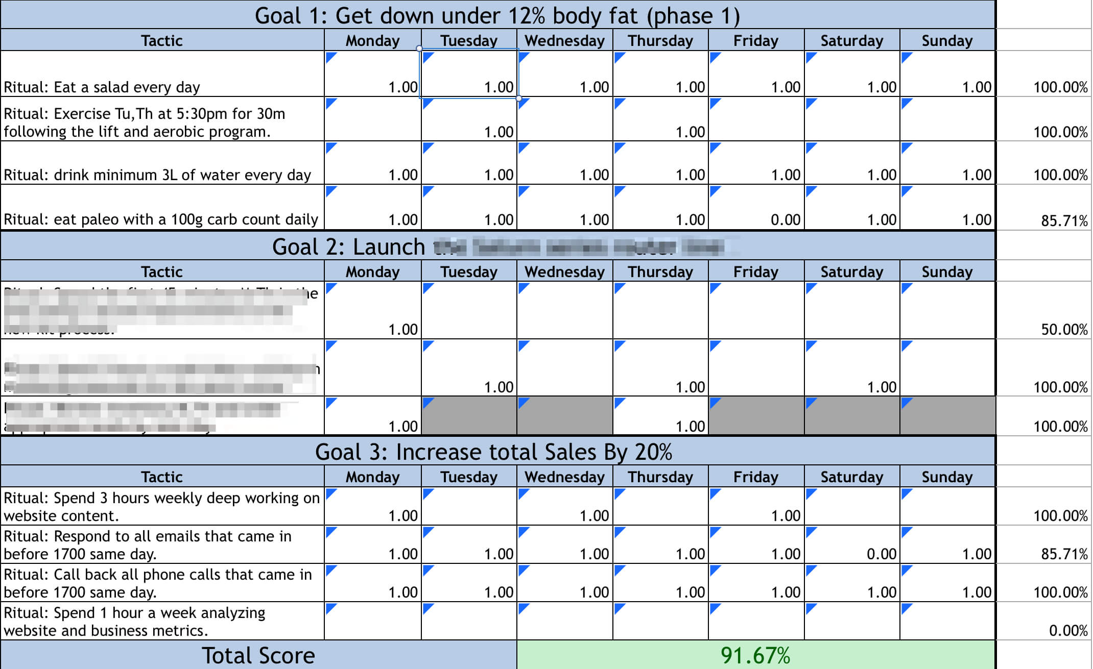 Case Study On The 12 Week Year For 12 Week Year Templates