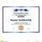 Certificate Of Achievement Template. They Are Fully And For Blank Certificate Of Achievement Template