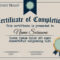 Certificate Of Completion Design Template Regarding Certification Of Completion Template