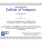Conference Certificate Of Participation Template – Tunu Within Certificate Of Participation Template Word