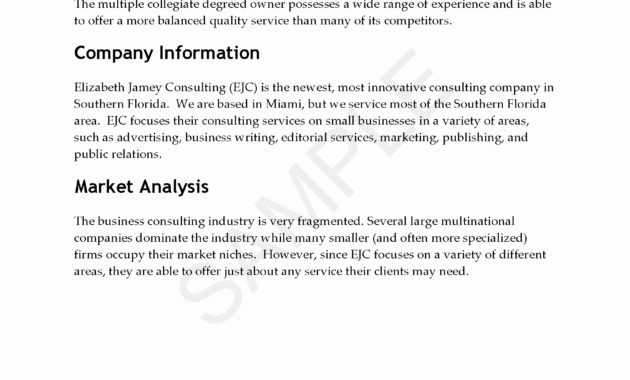 Consulting Company Business Plan Plans Security Sample For with Business Plan Template For Consulting Firm