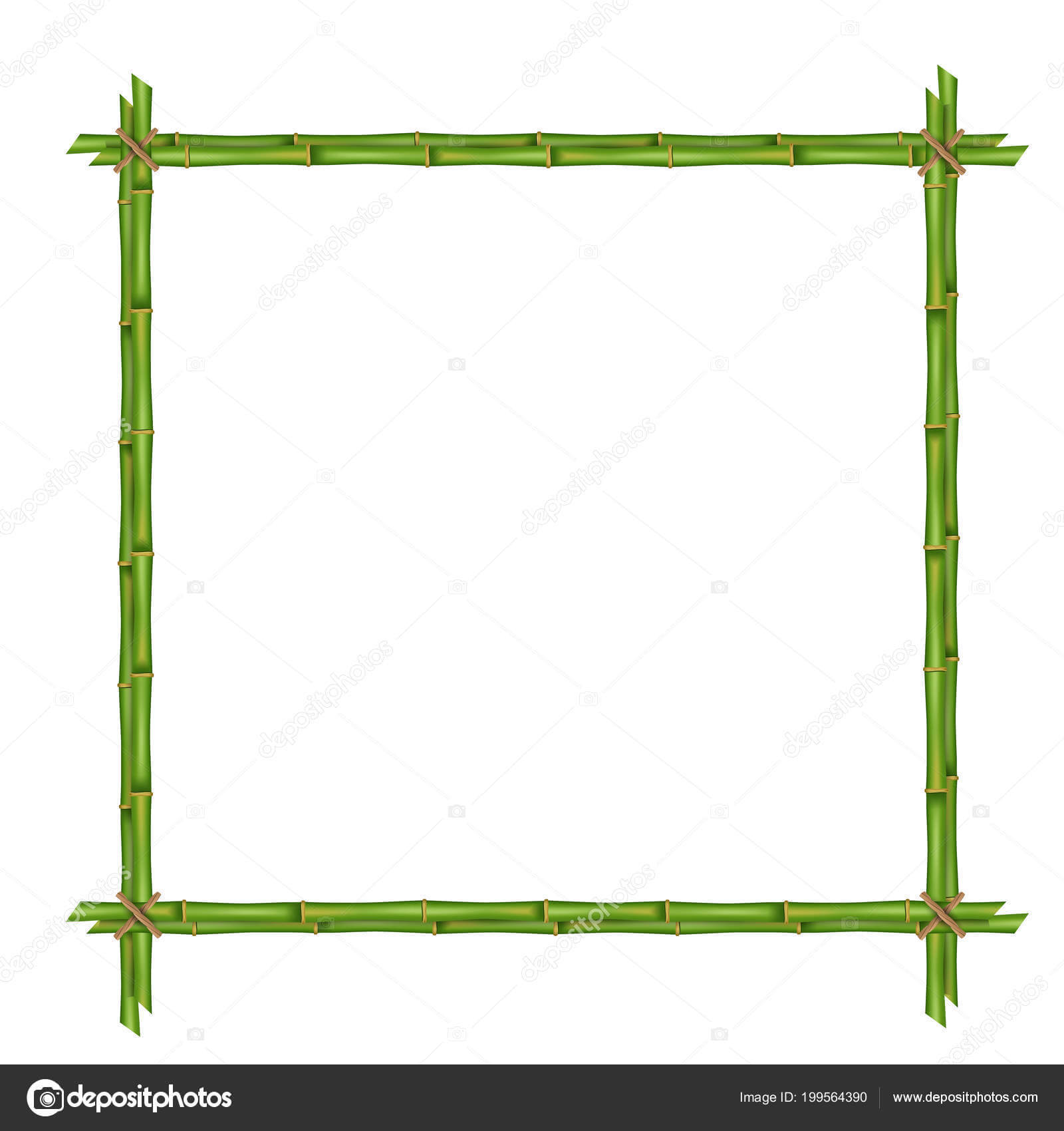 Creative Vector Illustration Bamboo Stems Frame Isolated Regarding Blank Stem And Leaf Plot Template