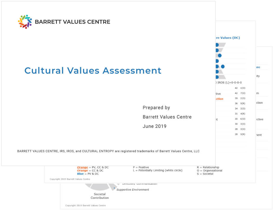 Cultural Values Assessment – Barrett Values Centre In Business Value Assessment Template