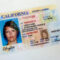 Dc4 California Driver License Template | Wiring Resources Inside Blank Drivers License Template