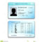 Driver License Illustration Stock Vector – Illustration Of Within Blank Drivers License Template