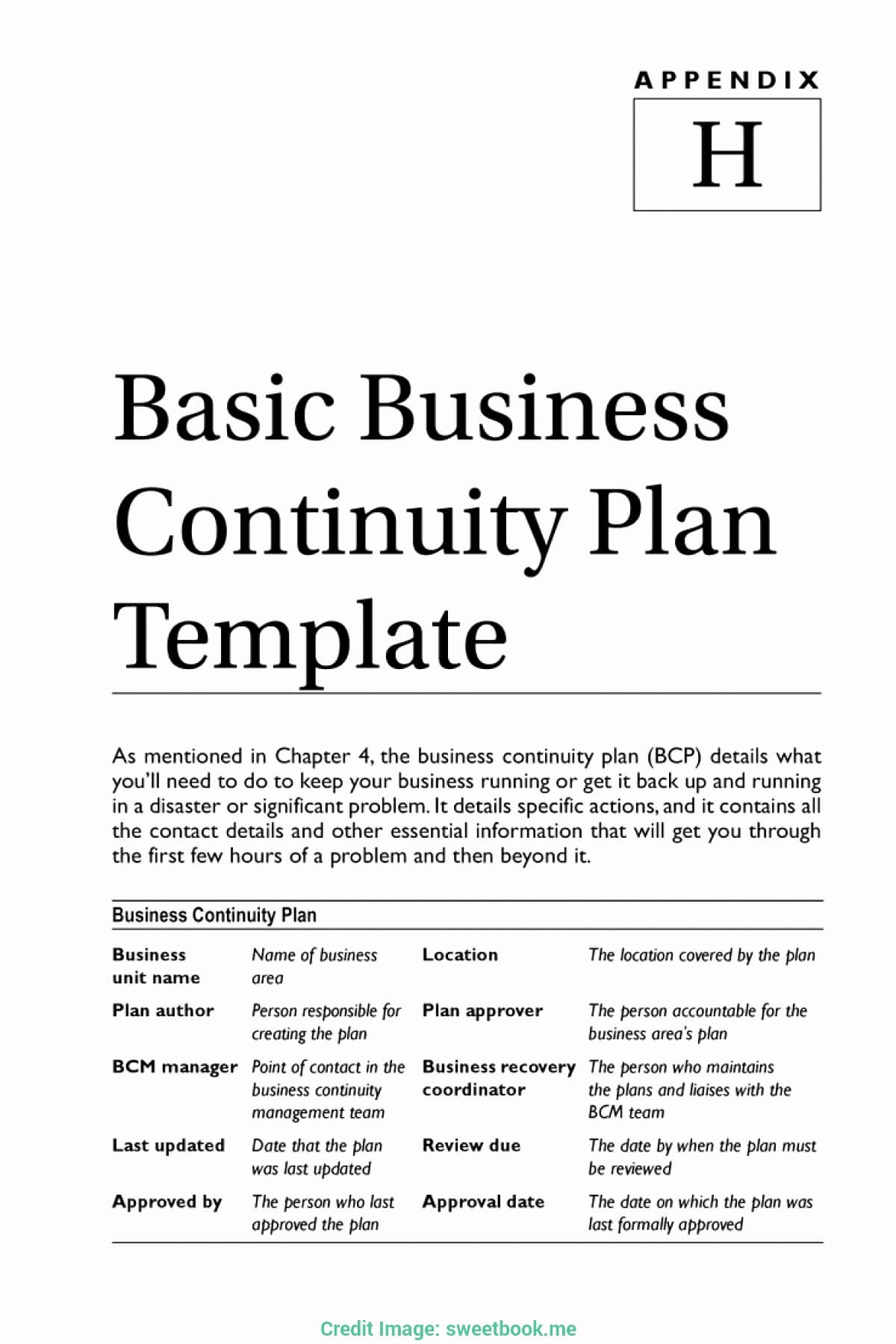 Example Business Continuity Plan Unique Simple Contingency For Business Hours Template Word