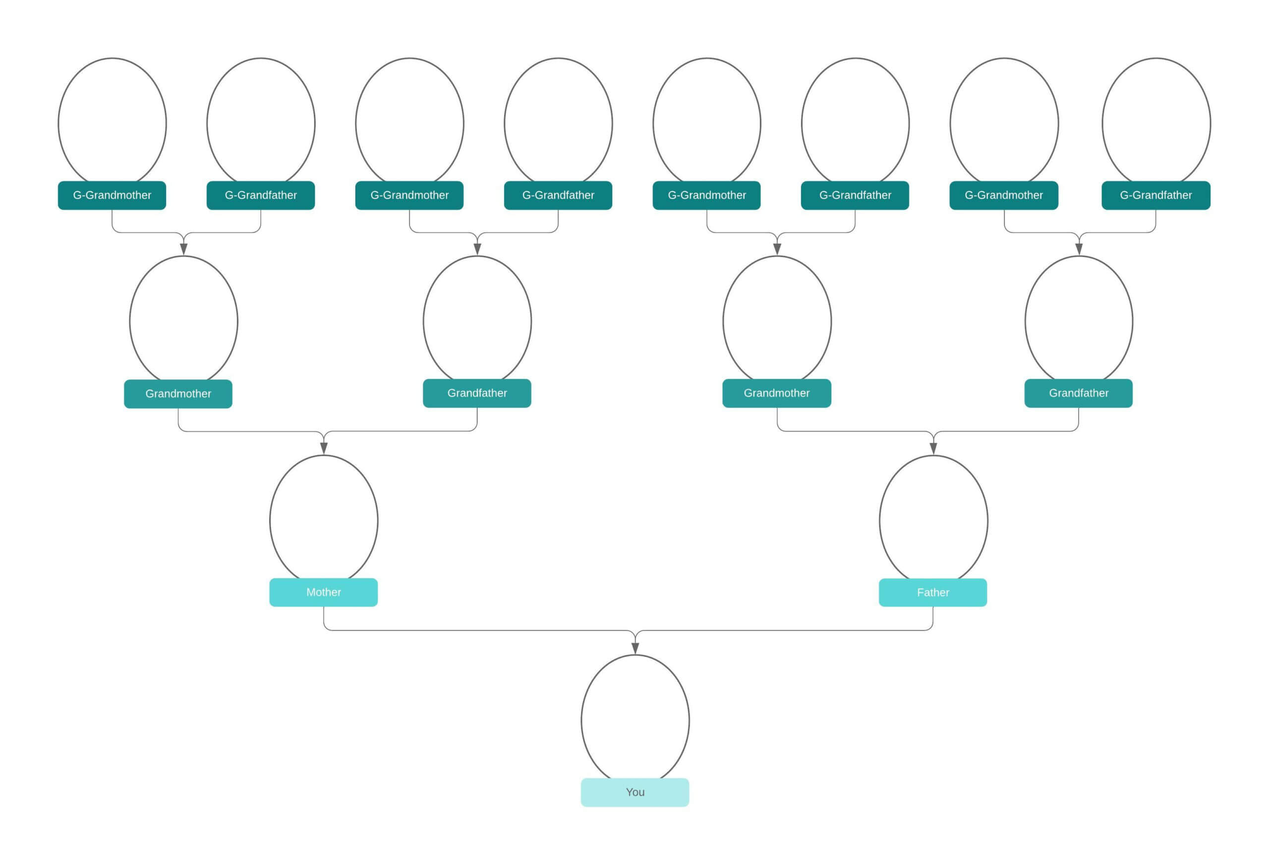 Family Tree Generator | Lucidchart Within Blank Tree Diagram Template