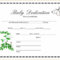 Fan Birth Certificate Printable | Chapman Blog With Regard To Baby Doll Birth Certificate Template