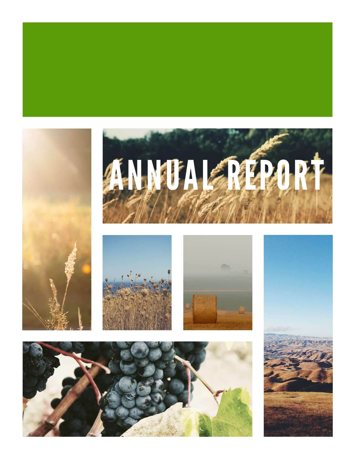 Free Annual Report Templates & Examples [6 Free Templates] For Annual Report Template Word Free Download