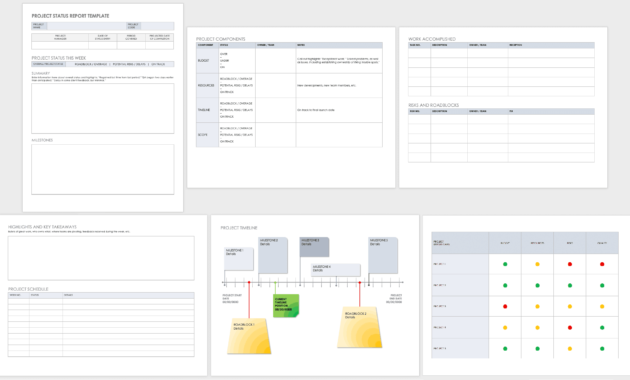 Free Project Report Templates | Smartsheet in Check Out Report Template
