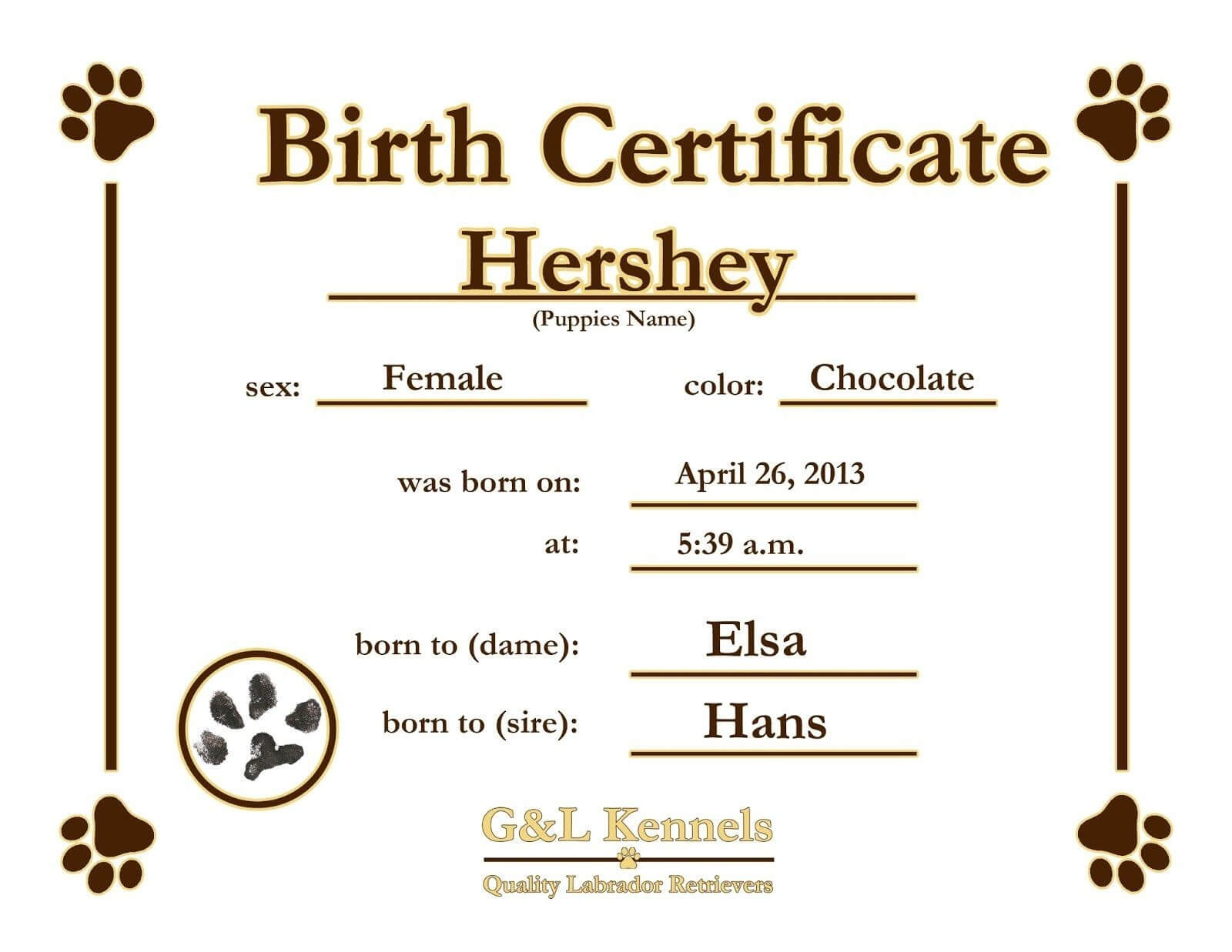 Great For Teddy Bear And Baby Doll Birth Certificates Free Pertaining To Baby Doll Birth Certificate Template