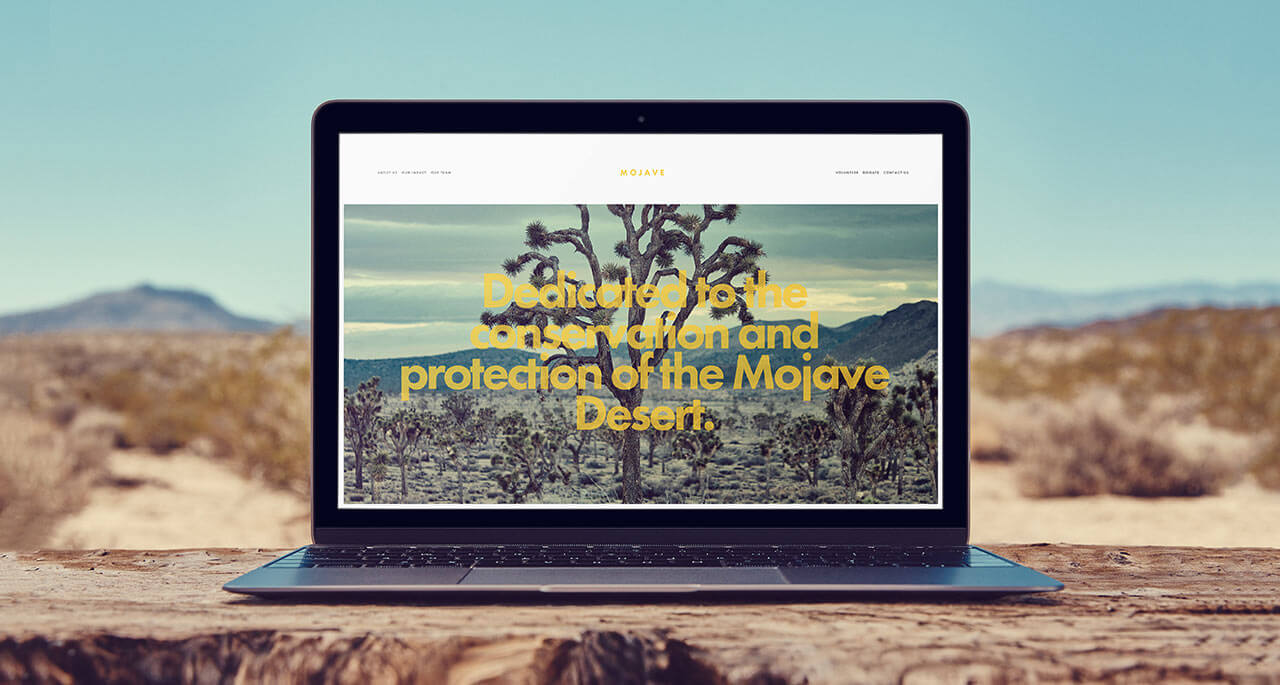 How To Choose The Best Squarespace Template: The Only Three Within Best Squarespace Template