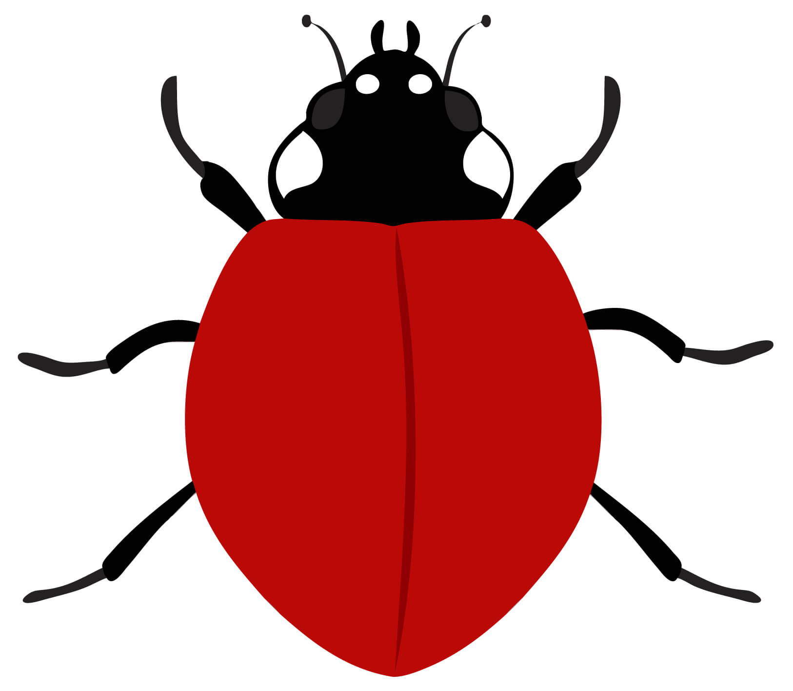 Ladybird Template. Ladybird Powerpoint Template Backgrounds With Blank Ladybug Template