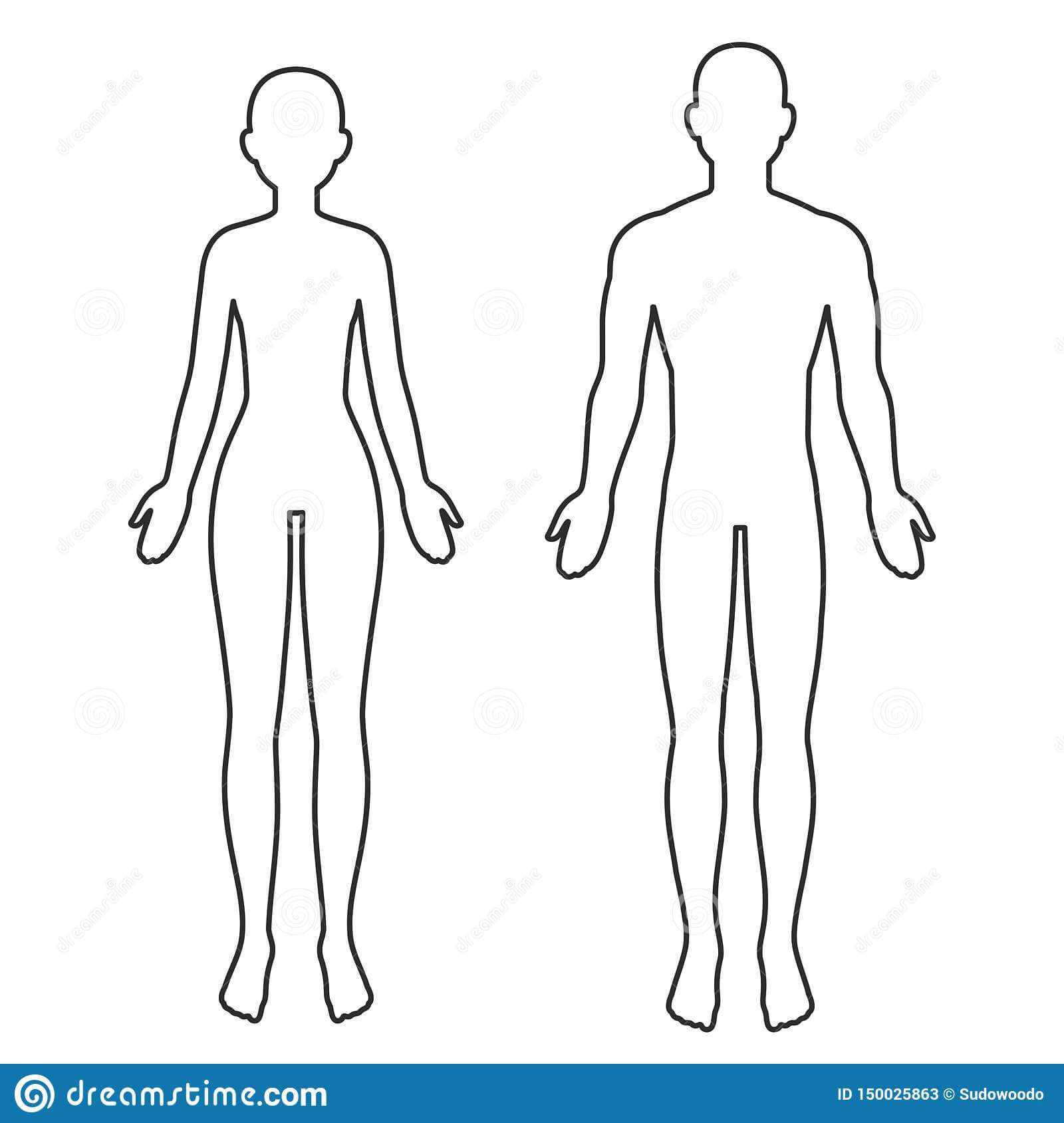 Male And Female Body Outline Stock Vector – Illustration Of Pertaining To Blank Body Map Template