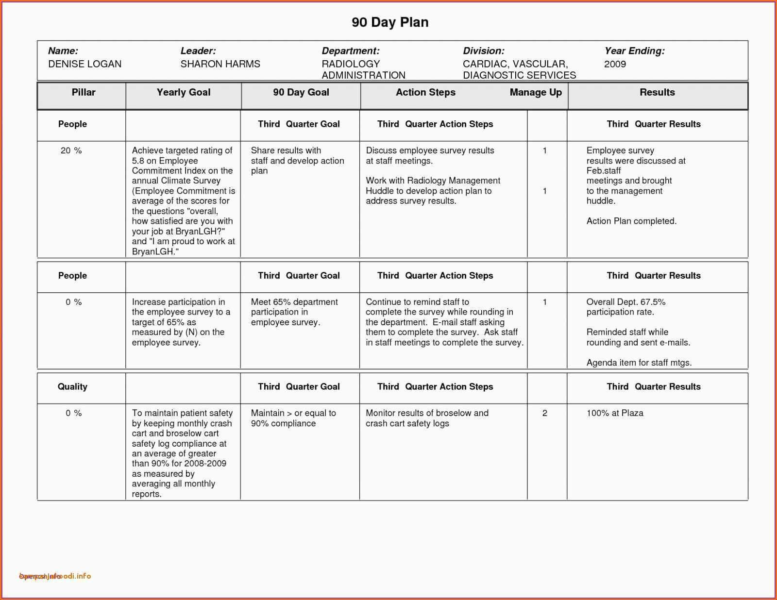 Management Plans Day Plan Sales Manager Template Business Intended For Business Plan For Sales Manager Template
