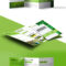 Nature Tri Fold Brochure Template Free Psd | Psdfreebies Within Brochure 3 Fold Template Psd