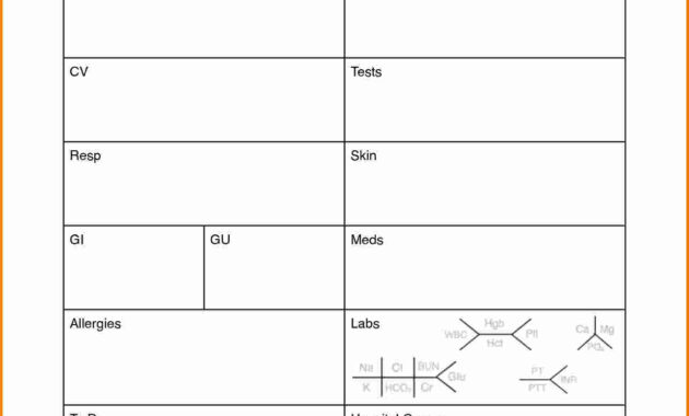 Printable Nurse Report Sheets That Are Critical | Darryl's Blog with regard to Charge Nurse Report Sheet Template