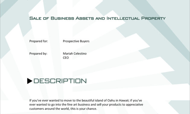 Sale Of Business And Assets Sample Proposal - 5 Steps within Business Sale Proposal Template
