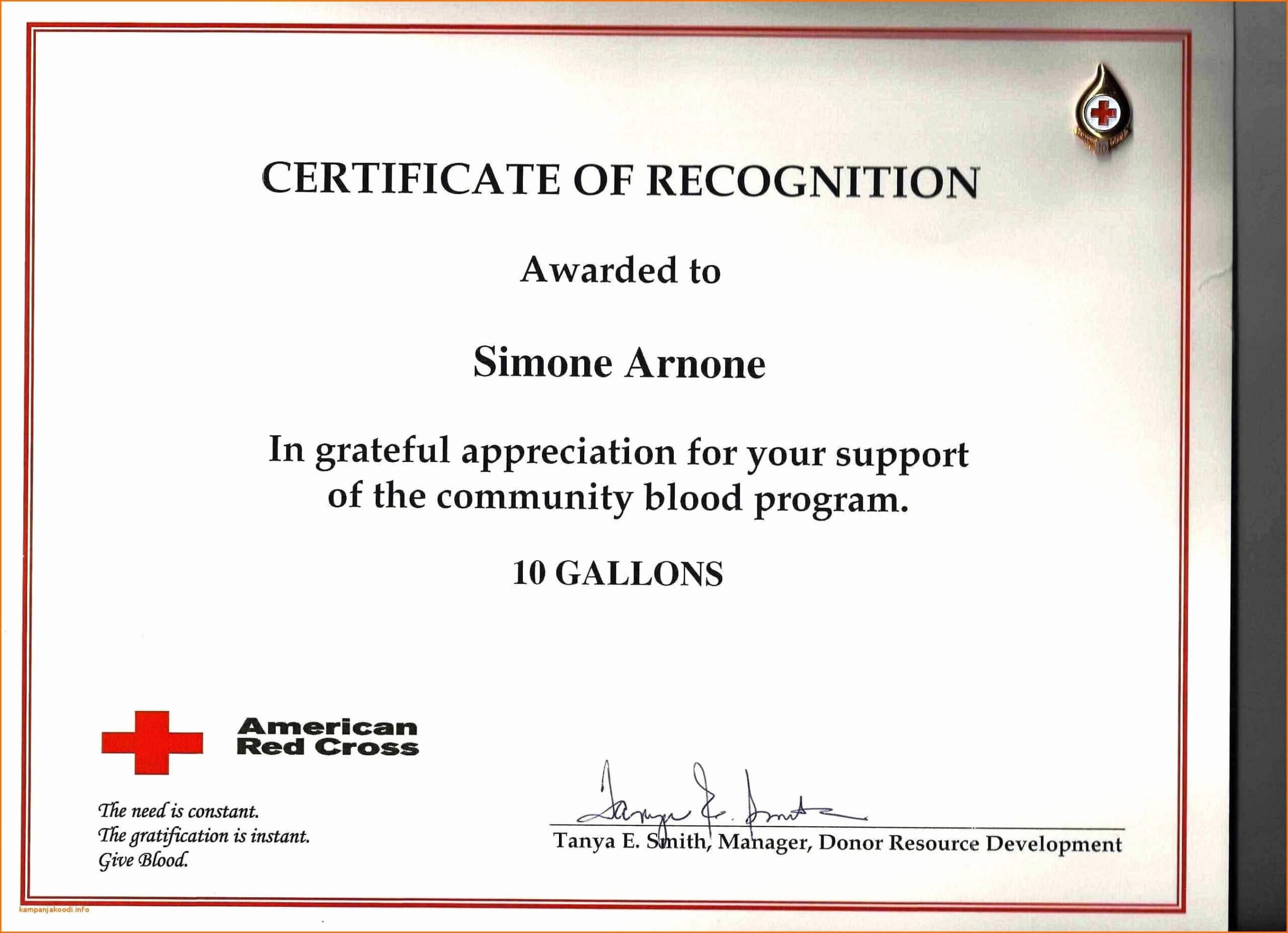 Samples Of Certificate Of Appreciation – Horizonconsulting.co Within Army Certificate Of Appreciation Template