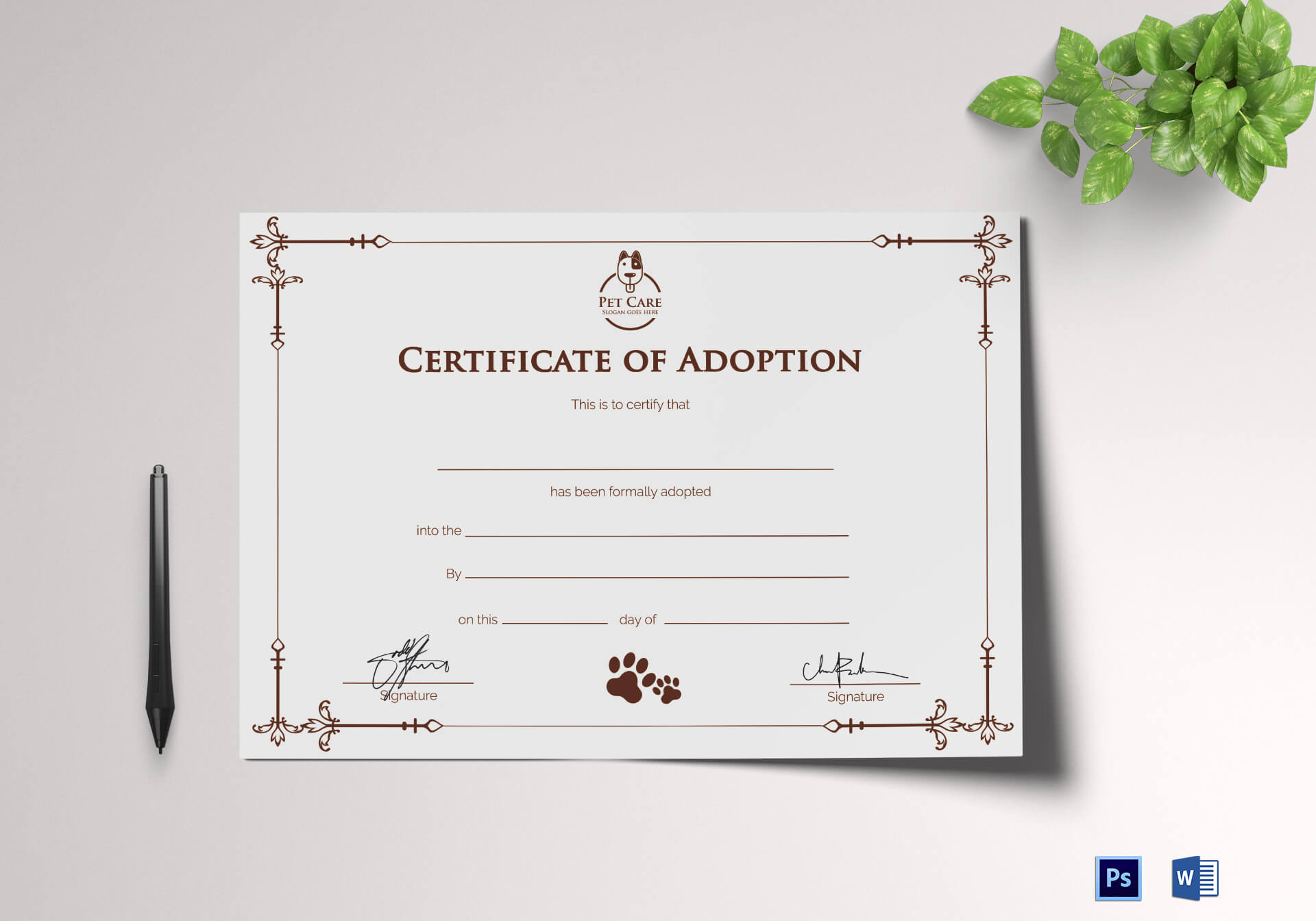 Simple Adoption Certificate Template Regarding Blank Adoption Certificate Template