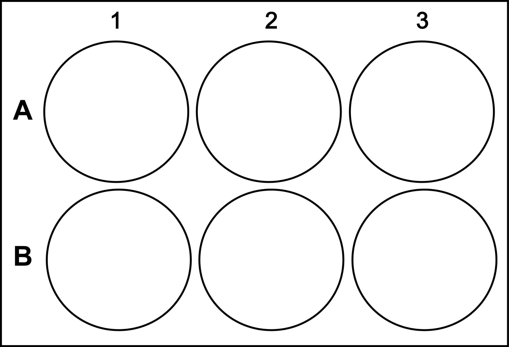 Templates intended for 384 Well Plate Template Templates Intended For 384 Well Plate Template